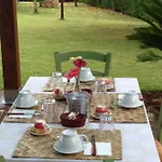 Il Gallo Del Vicino Bed & Breakfast *