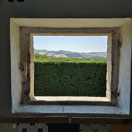 Bed & Breakfast Il Gallo Del Vicino *