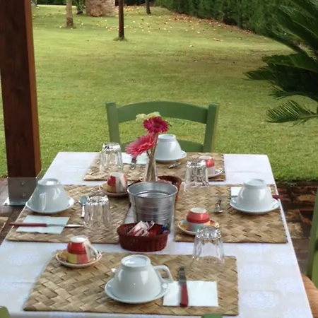 Il Gallo Del Vicino B&B *