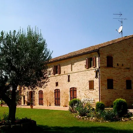 Il Gallo Del Vicino *