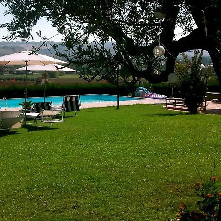 Il Gallo Del Vicino *