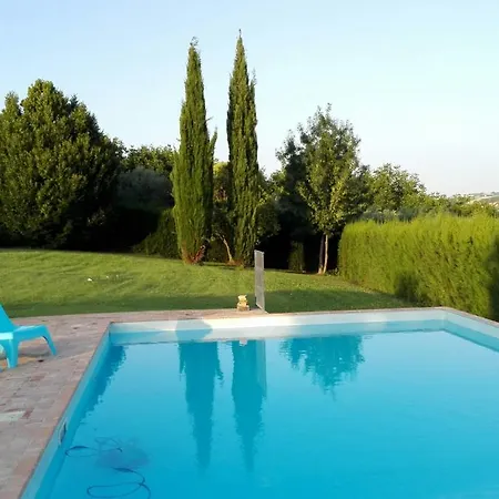 Il Gallo Del Vicino Monte Urano