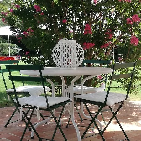 Il Gallo Del Vicino B&B *