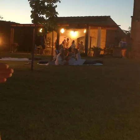 Il Gallo Del Vicino *